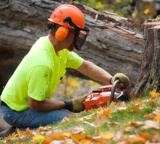 tree services Owyhee